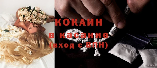 молекула духа Лабытнанги