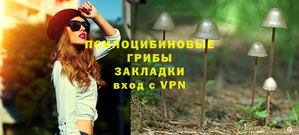молекула духа Лабытнанги