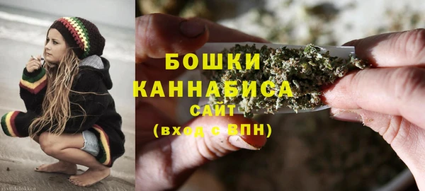 молекула духа Лабытнанги