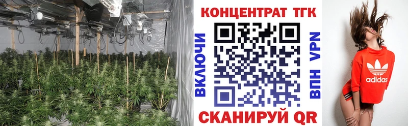 цена наркотик  Трубчевск  гидра вход  Дистиллят ТГК жижа 