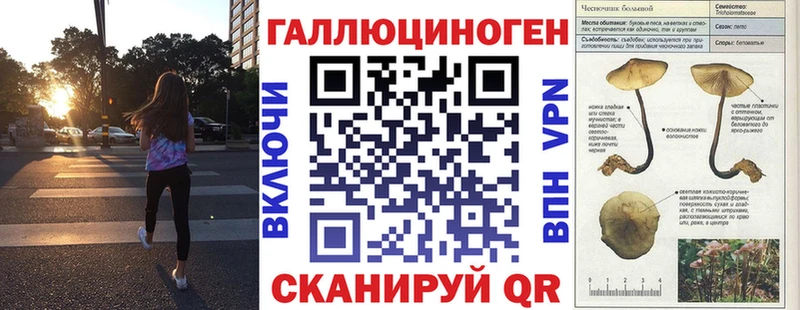 Галлюциногенные грибы мицелий  где можно купить   Трубчевск 